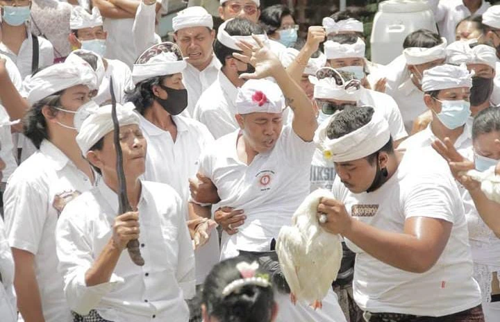 Pamer Ritual Berkenalan dengan Ritual Maburu, Tradisi Unik dari Desa Adat Panjer ...